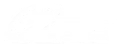 Zero Boost Federation